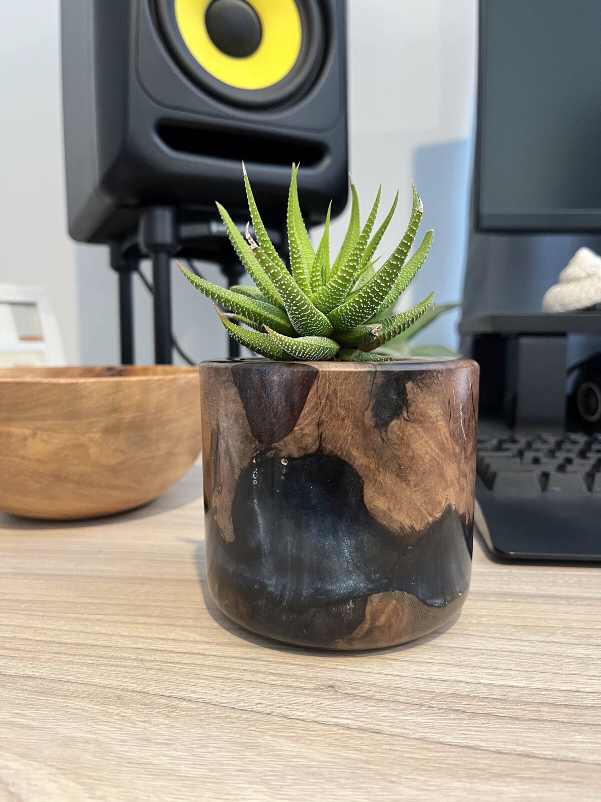 Hand-turned wooden planter with a succulent